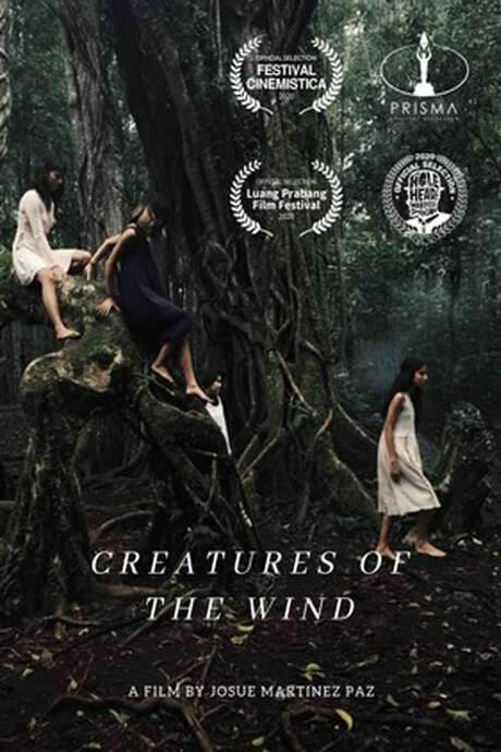 A teenage girl embarks on a dreamlike journey where the line between nightmare and reality dissolves. This horror-style short features visions and a polished aesthetic, combining black and white costumes with shoulder camera shots set in a dense, dark forest, accompanied by an unsettling children’s song. The forest itself seems to function as a prison, revealing one’s deepest fears through strange, inescapable apparitions.